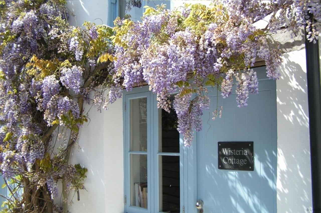 Croyde Wisteria Cottage 4 Bedrooms Exterior foto